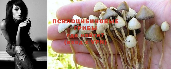 эйфоретик Армянск