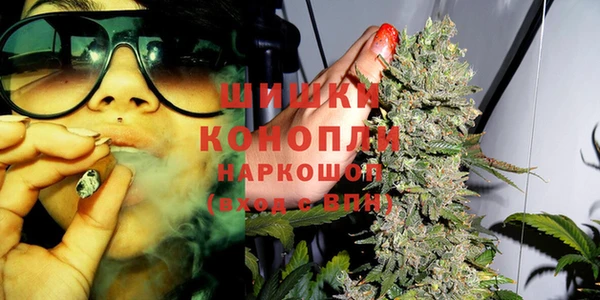 ПСИЛОЦИБИНОВЫЕ ГРИБЫ Балабаново