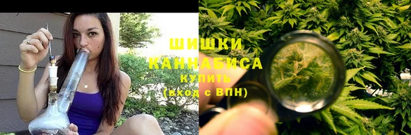 ПСИЛОЦИБИНОВЫЕ ГРИБЫ Балабаново
