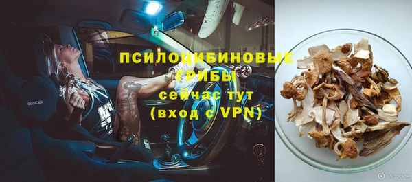 ПСИЛОЦИБИНОВЫЕ ГРИБЫ Балабаново